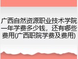 广西自然资源职业技术学院一年学费多少钱，还有哪些费用(广西职院学费及费用)