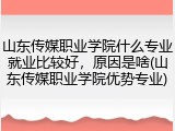 山东传媒职业学院什么专业就业比较好，原因是啥(山东传媒职业学院优势专业)
