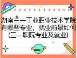 湖南三一工业职业技术学院有哪些专业，就业前景如何(三一职院专业及就业)