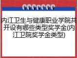 内江卫生与健康职业学院共开设有哪些类型奖学金(内江卫院奖学金类型)