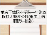 重庆工信职业学院一年财政拨款大概多少钱(重庆工信职院年拨款)
