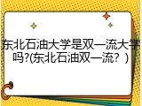 东北石油大学是双一流大学吗?(东北石油双一流？)