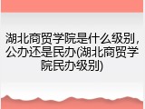湖北商贸学院是什么级别，公办还是民办(湖北商贸学院民办级别)