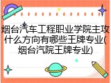 烟台汽车工程职业学院主攻什么方向有哪些王牌专业(烟台汽院王牌专业)