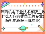 陕西机电职业技术学院主攻什么方向有哪些王牌专业(陕机电职院王牌专业)