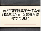山东管理学院奖学金评定细则是怎样的(山东管理学院奖学金细则)