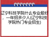 辽宁科技学院什么专业最好，一年招多少人(辽宁科技学院热门专业招生)