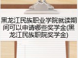 黑龙江民族职业学院就读期间可以申请哪些奖学金(黑龙江民族职院奖学金)