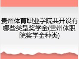 贵州体育职业学院共开设有哪些类型奖学金(贵州体职院奖学金种类)