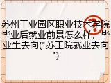 苏州工业园区职业技术学院毕业后就业前景怎么样，毕业生去向("苏工院就业去向")