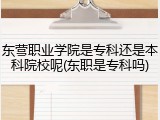 东营职业学院是专科还是本科院校呢(东职是专科吗)