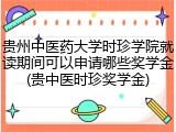 贵州中医药大学时珍学院就读期间可以申请哪些奖学金(贵中医时珍奖学金)