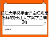 长江大学奖学金评定细则是怎样的(长江大学奖学金细则)
