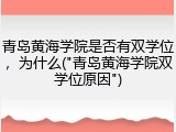 青岛黄海学院是否有双学位，为什么("青岛黄海学院双学位原因")