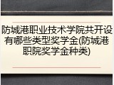 防城港职业技术学院共开设有哪些类型奖学金(防城港职院奖学金种类)