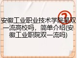 安徽工业职业技术学院是双一流高校吗，简单介绍(安徽工业职院双一流吗)