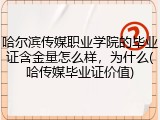 哈尔滨传媒职业学院的毕业证含金量怎么样，为什么(哈传媒毕业证价值)