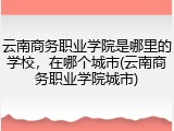 云南商务职业学院是哪里的学校，在哪个城市(云南商务职业学院城市)