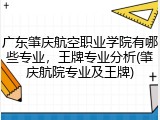 广东肇庆航空职业学院有哪些专业，王牌专业分析(肇庆航院专业及王牌)