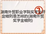 湖南外贸职业学院奖学金评定细则是怎样的(湖南外贸奖学金细则)