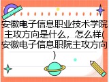 安徽电子信息职业技术学院主攻方向是什么，怎么样(安徽电子信息职院主攻方向)