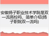 安徽扬子职业技术学院是双一流高校吗，简单介绍(扬子职院双一流吗)