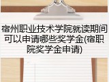 宿州职业技术学院就读期间可以申请哪些奖学金(宿职院奖学金申请)