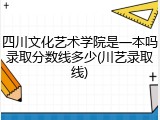 四川文化艺术学院是一本吗录取分数线多少(川艺录取线)