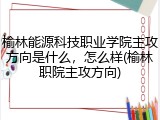 榆林能源科技职业学院主攻方向是什么，怎么样(榆林职院主攻方向)