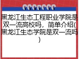 黑龙江生态工程职业学院是双一流高校吗，简单介绍(黑龙江生态学院是双一流吗)