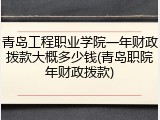 青岛工程职业学院一年财政拨款大概多少钱(青岛职院年财政拨款)