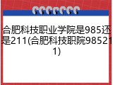 合肥科技职业学院是985还是211(合肥科技职院985211)