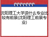 沈阳理工大学读什么专业比较有前景(沈阳理工前景专业)