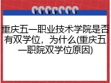 重庆五一职业技术学院是否有双学位，为什么(重庆五一职院双学位原因)