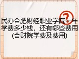民办合肥财经职业学院一年学费多少钱，还有哪些费用(合财院学费及费用)