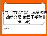 武昌工学院是双一流高校吗，简单介绍(武昌工学院非双一流)