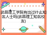 武昌理工学院有出过什么知名人士吗(武昌理工知名校友)