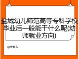 盐城幼儿师范高等专科学校毕业后一般能干什么呢(幼师就业方向)