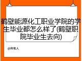 鹤壁能源化工职业学院的学生毕业都怎么样了(鹤壁职院毕业生去向)