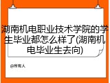 湖南机电职业技术学院的学生毕业都怎么样了(湖南机电毕业生去向)