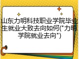 山东力明科技职业学院毕业生就业大致去向如何("力明学院就业去向")