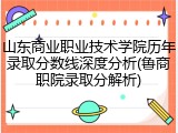 山东商业职业技术学院历年录取分数线深度分析(鲁商职院录取分解析)