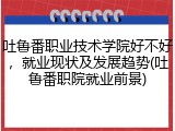 吐鲁番职业技术学院好不好，就业现状及发展趋势(吐鲁番职院就业前景)