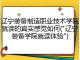 辽宁装备制造职业技术学院就读的真实感觉如何("辽宁装备学院就读体验")