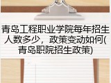 青岛工程职业学院每年招生人数多少，政策变动如何(青岛职院招生政策)