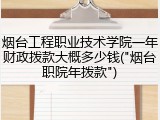 烟台工程职业技术学院一年财政拨款大概多少钱("烟台职院年拨款")