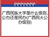 广西民族大学是什么级别，公办还是民办(广西民大公办级别)