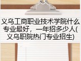 义乌工商职业技术学院什么专业最好，一年招多少人(义乌职院热门专业招生)