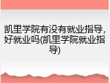 凯里学院有没有就业指导，好就业吗(凯里学院就业指导)