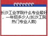 长沙工业学院什么专业最好，一年招多少人(长沙工院热门专业人数)
